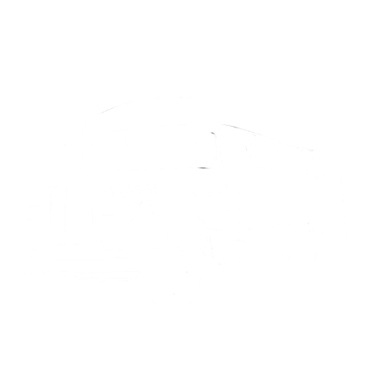 colectivo blanco transparente