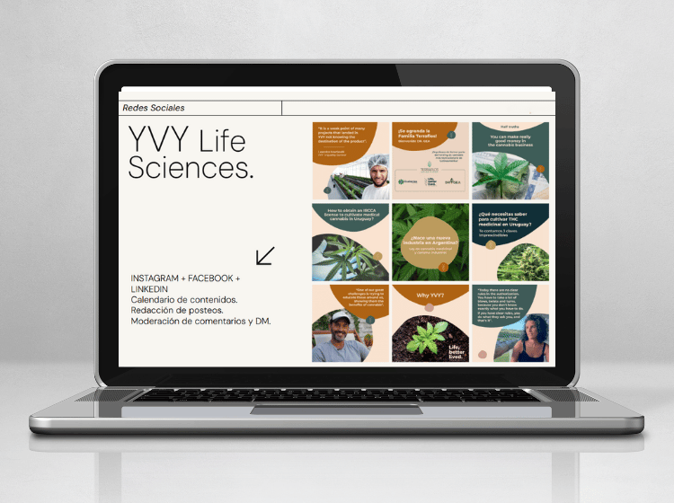 mock up rrss servicios web sesenta yvy