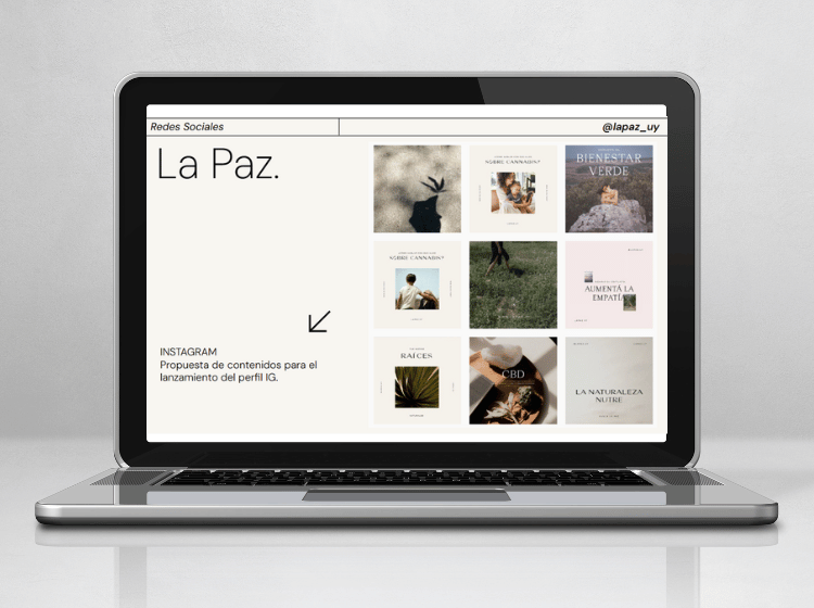 mock up servicios web sesenta la paz rrss