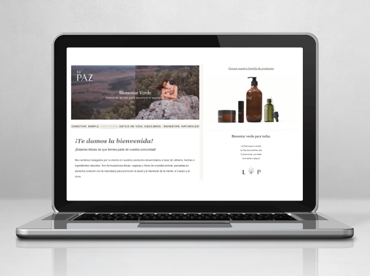 mock up servicios web sesenta la paz contenido editorial newsletter