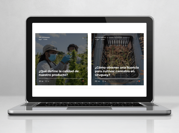 mock up servicios web sesenta yvy blog contenido editorial
