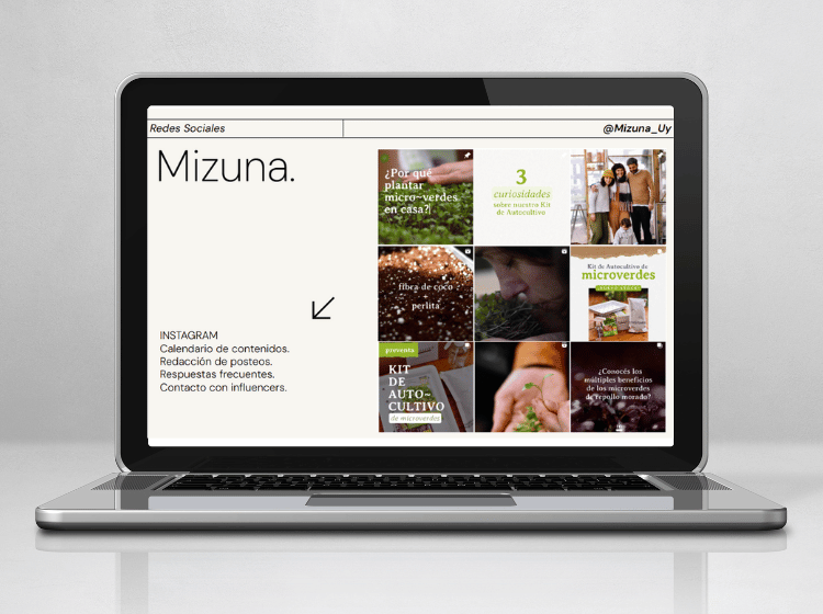 mock up servicios web sesenta mizuna rrss