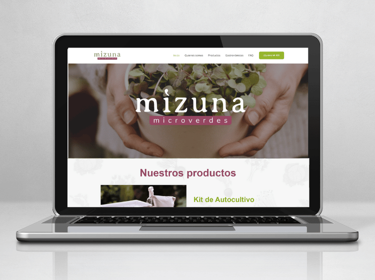 mock up servicios web sesenta mizuna microverdes redes sociales sitio web branding