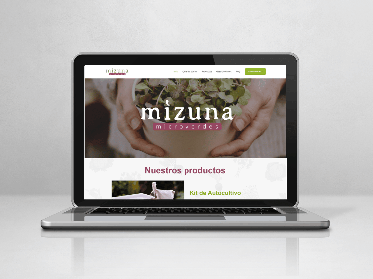 mock up servicios web sesenta mizuna microverdes
