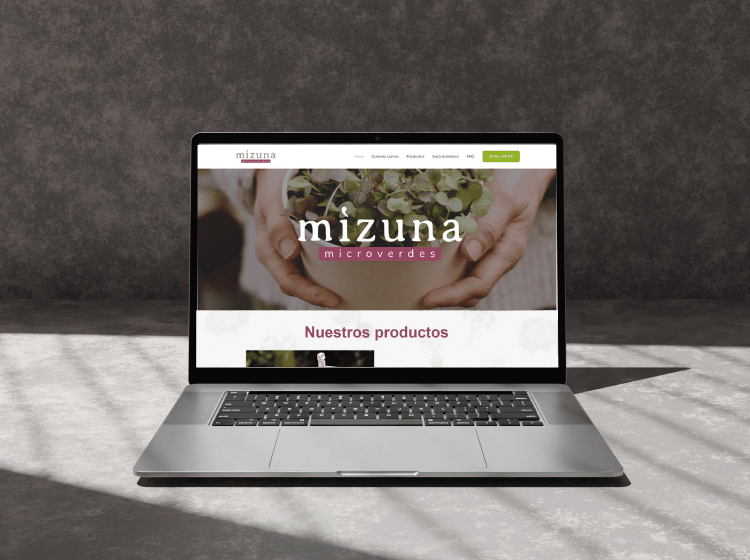 mock up servicios web sesenta mizuna